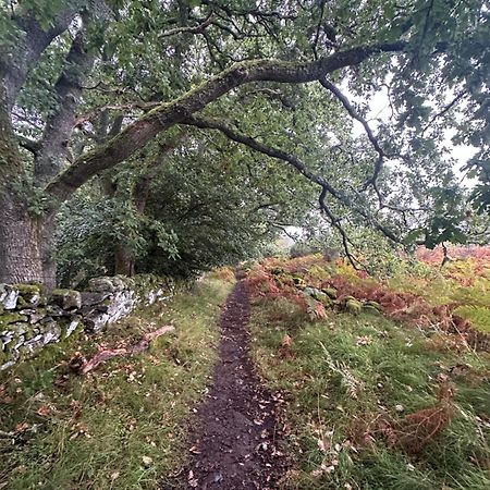 Red Squirrel Cottage Strathtay Екстер'єр фото